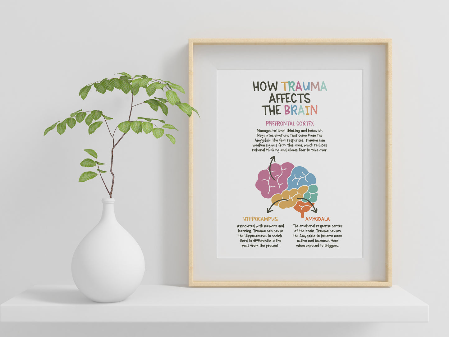 How Trauma Affects the Brain Poster