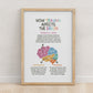 How Trauma Affects the Brain Poster