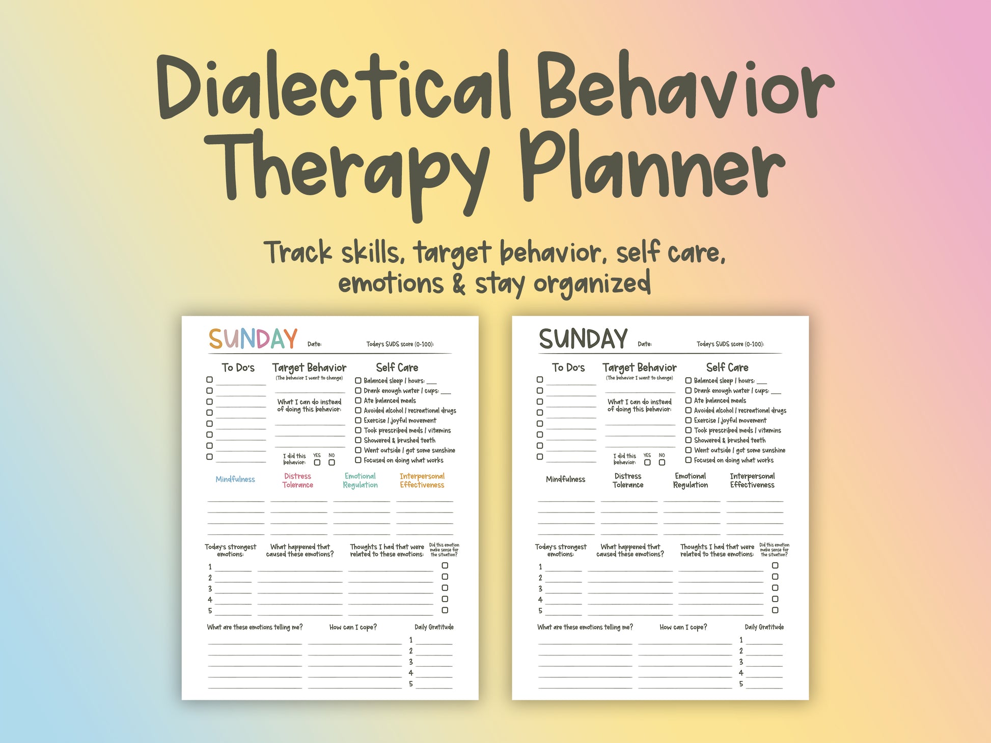  Dialectical Behavior Therapy Planner